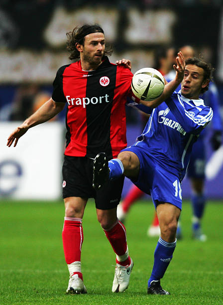 仍处于职业 仍处于职业