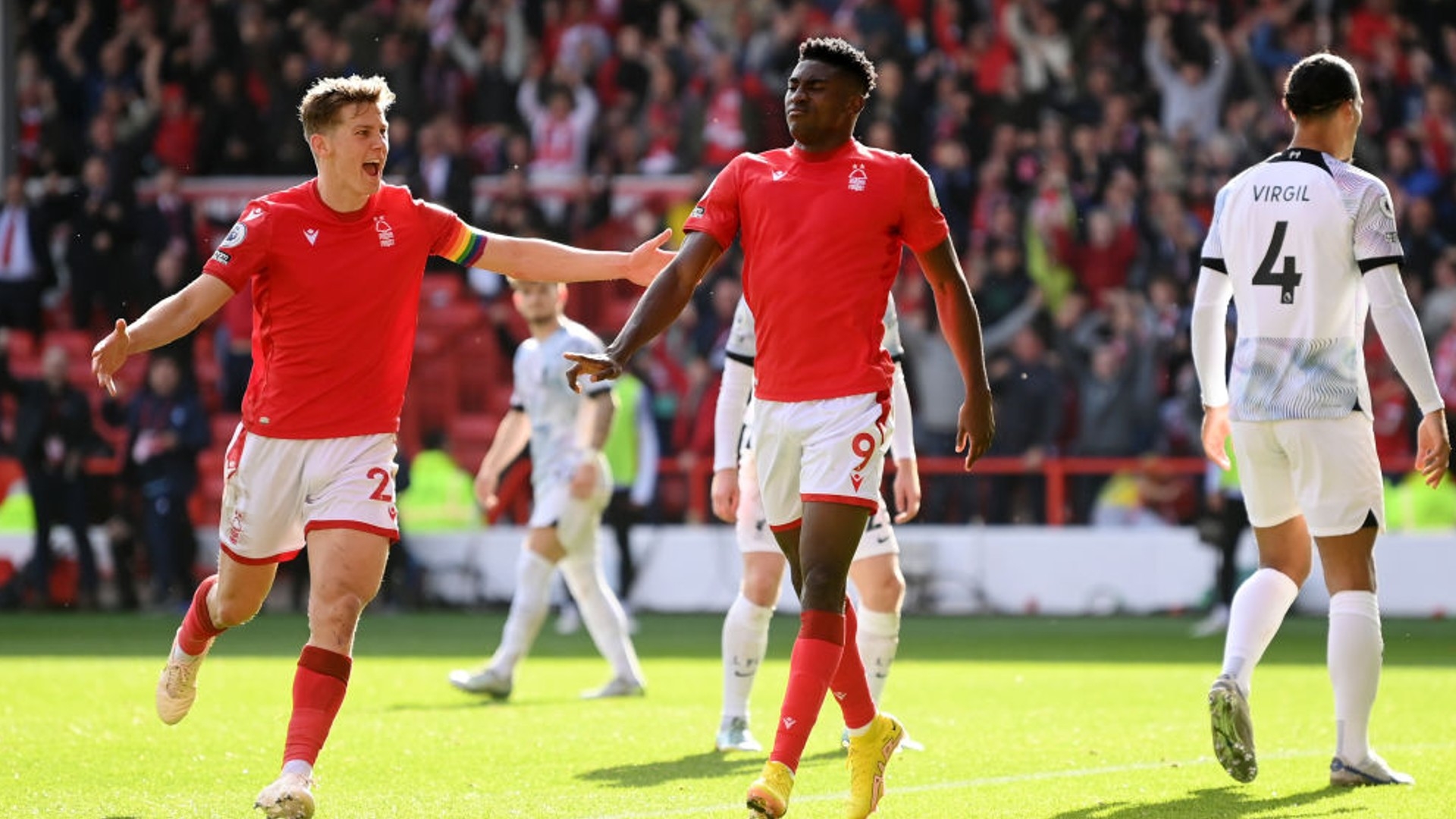 现出了对比 现出了对比